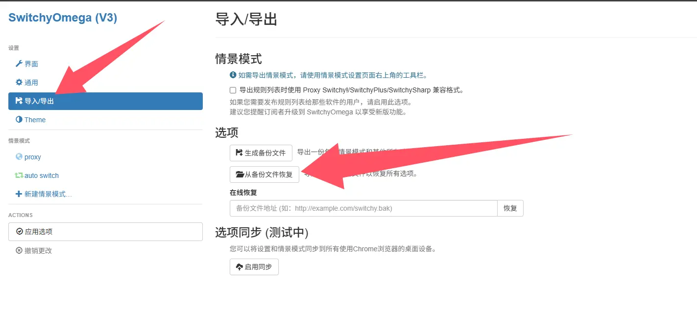 导入 ZeroOmega 分流配置